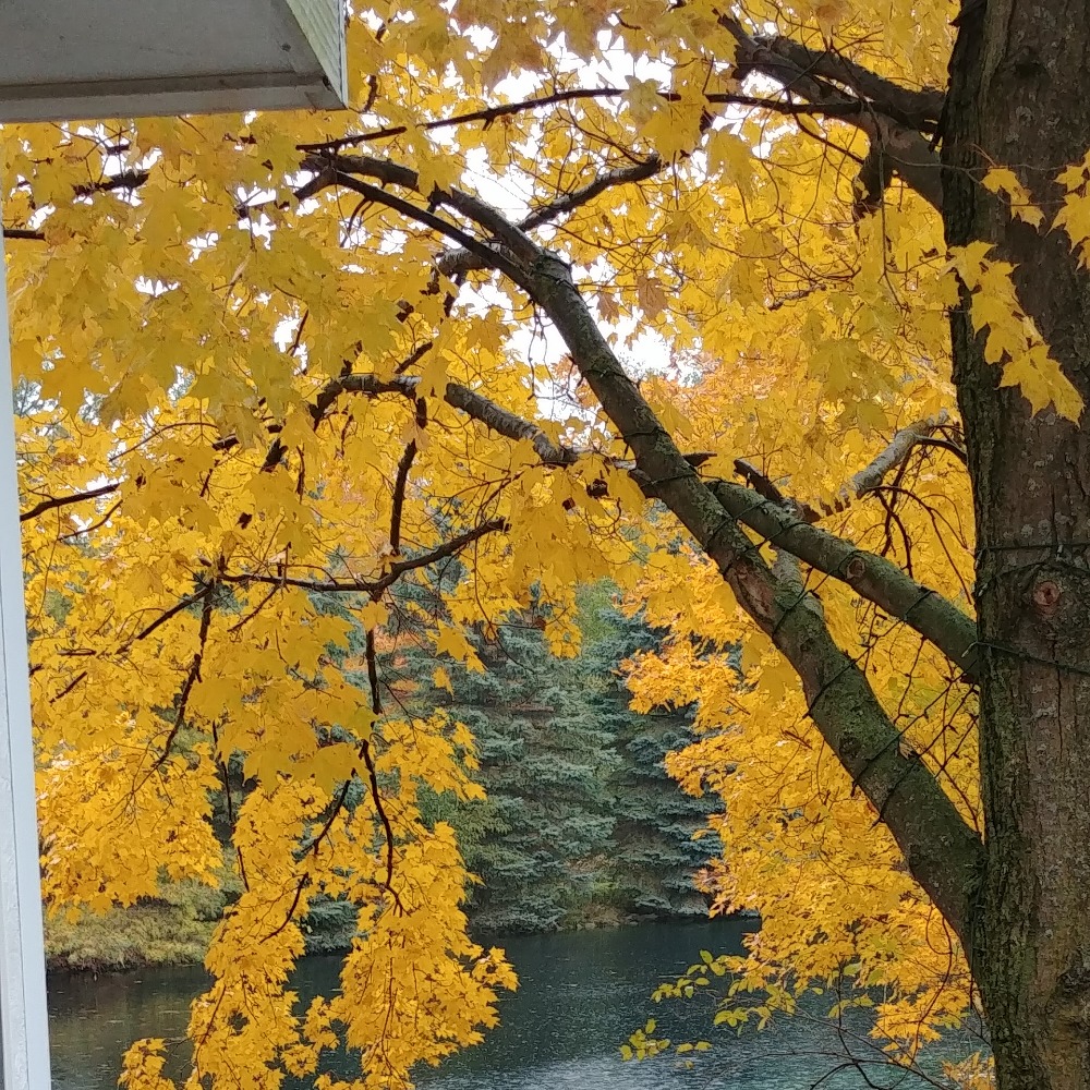 Meet your Posher, Louise